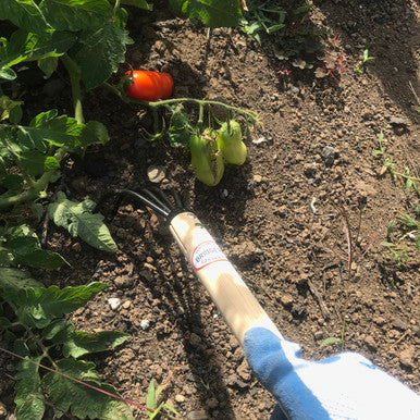 Long Handle Claw Rake and Cultivator