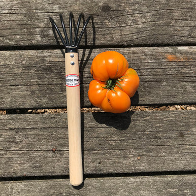 Long Handle Claw Rake and Cultivator